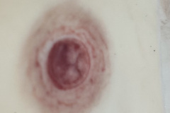 Photo-Aug-25-2025-12-15-43-PM