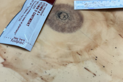 Photo-Aug-25-2025-12-17-13-PM