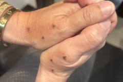 Photo-Oct-23-2024-2-56-28-PM